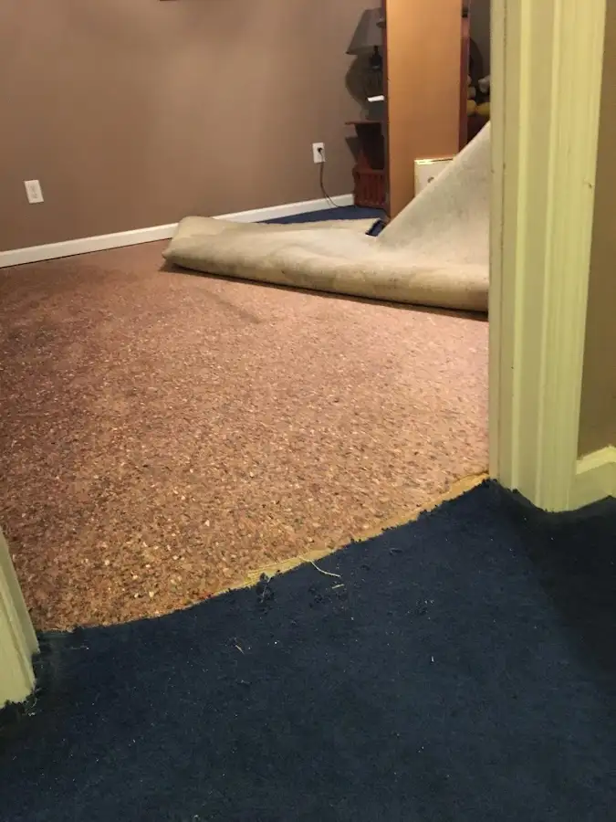 Carpet pad removal revealing water damage during Water Mitigation Services in Ozark
