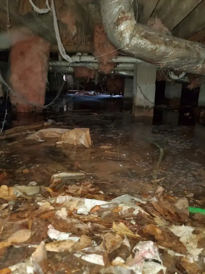 Crawl space flood assessment for Leak Detection & Repair in Ozark
